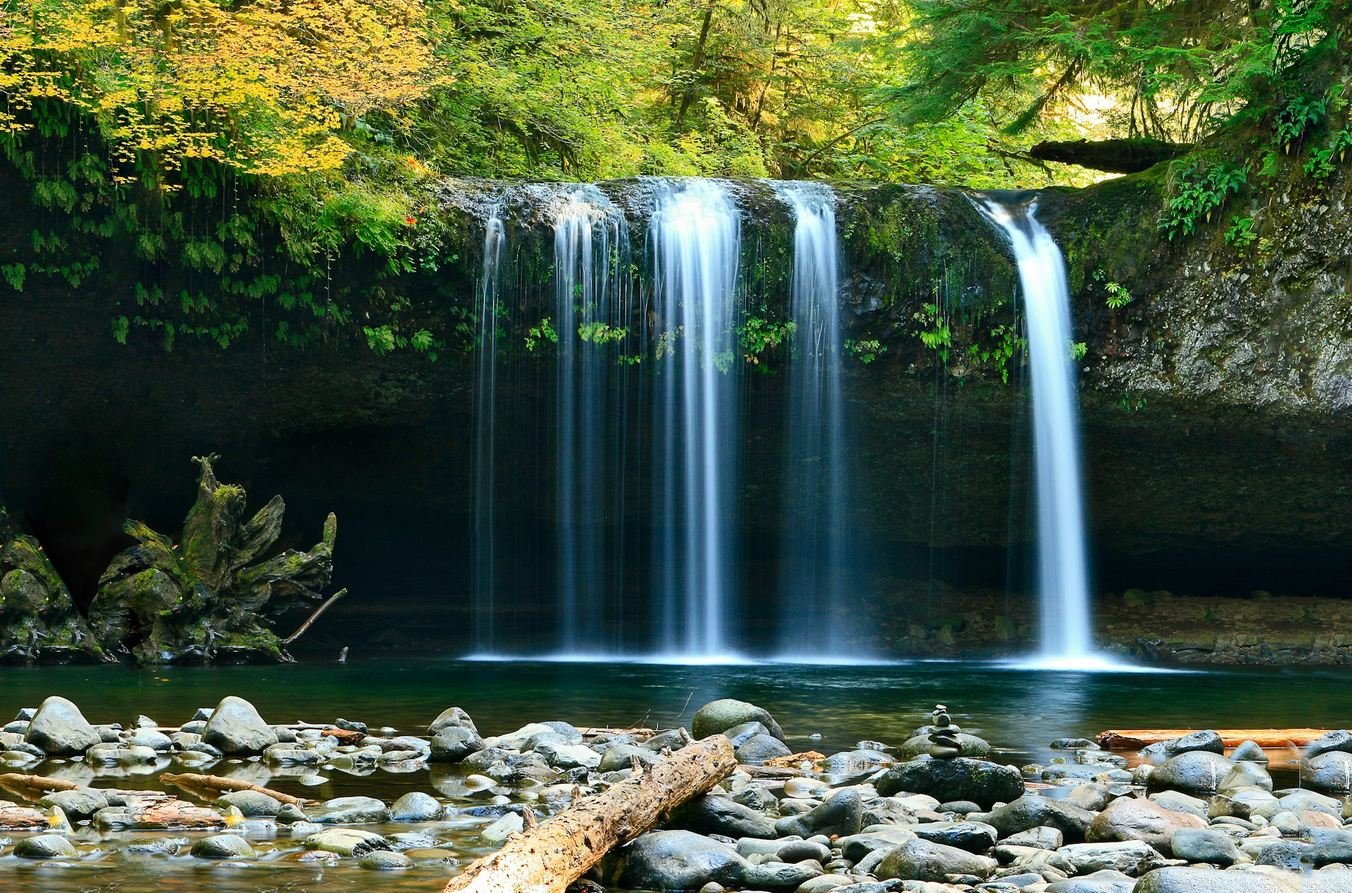 5 Famous Waterfalls Near Chandigarh You Can Visit in a Day