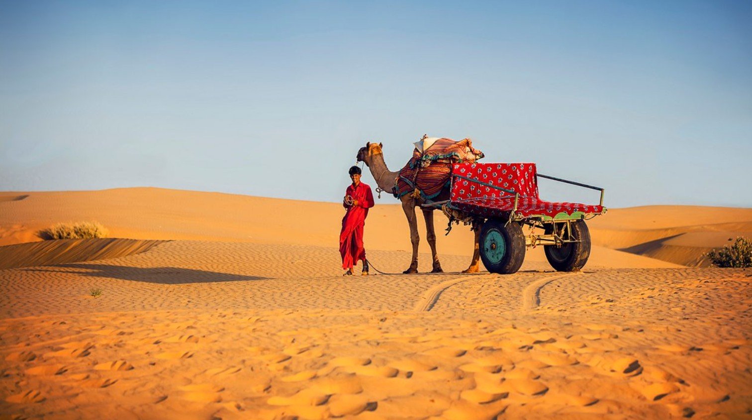 Luxury Travel in Rajasthan 2026: The Ultimate Royal Getaway