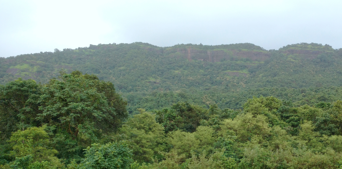 Avachitgad