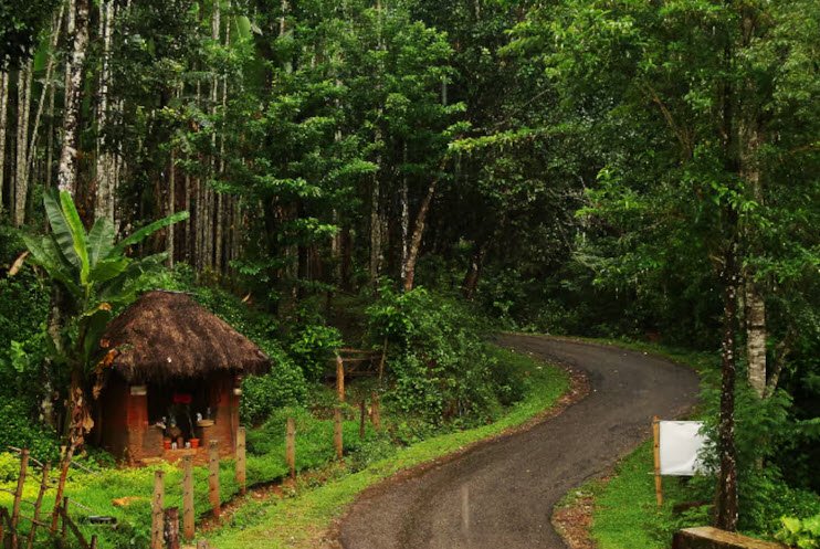 Agumbe