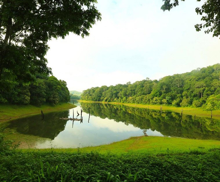 Thekkady Thekkady