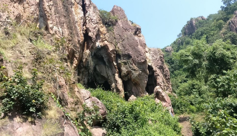 Darrekasa