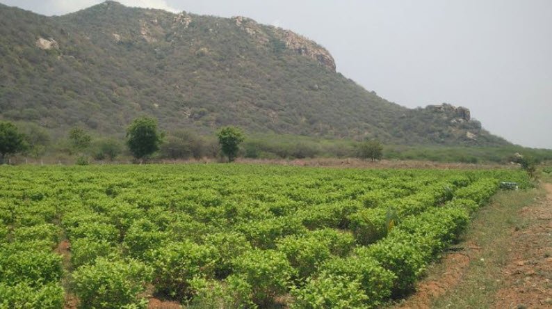 Kadambur