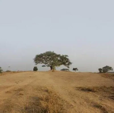 Sankarjang
