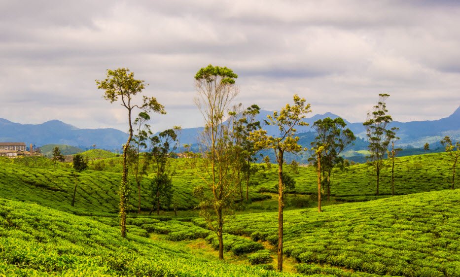 Valparai
