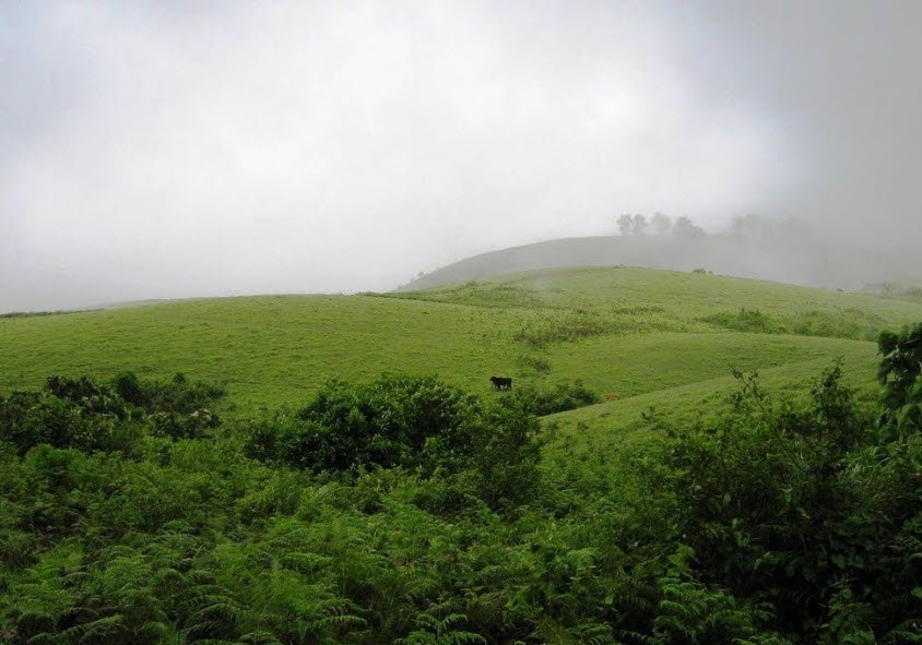 Vagamon