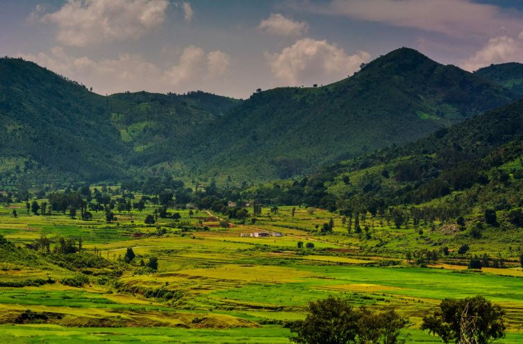 Rampachodavaram
