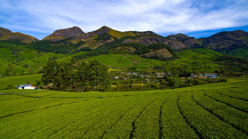 Suryanelli
