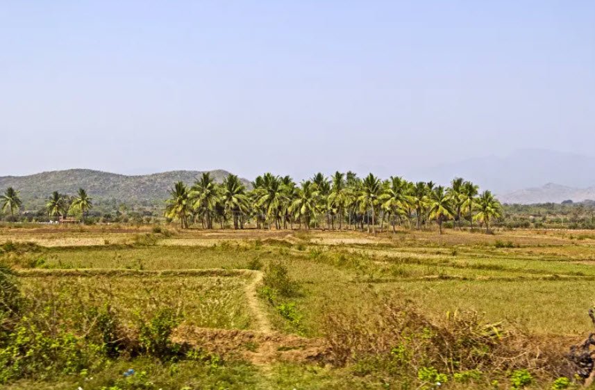 Dengam