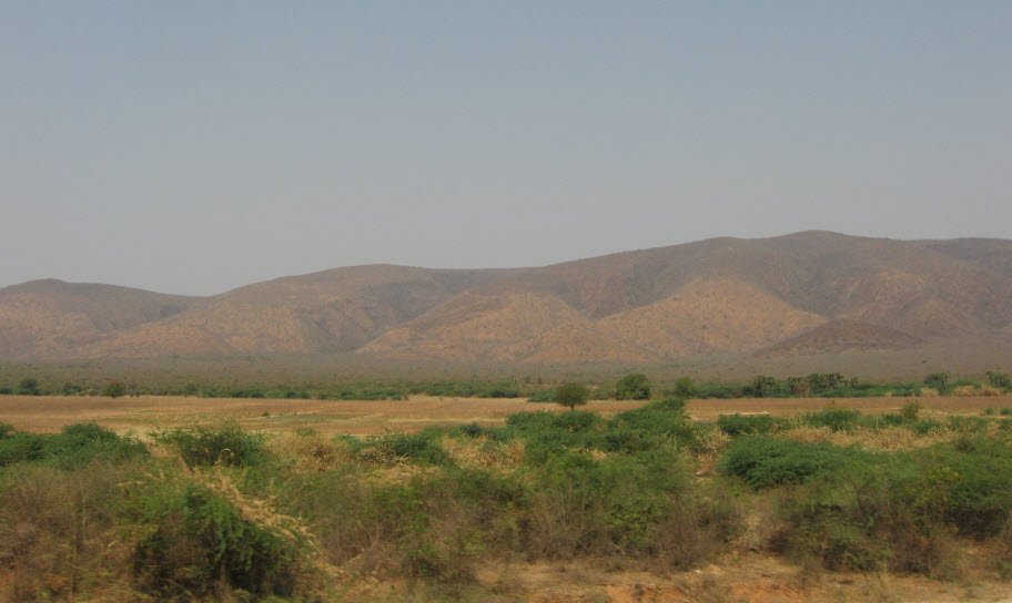 Doranala