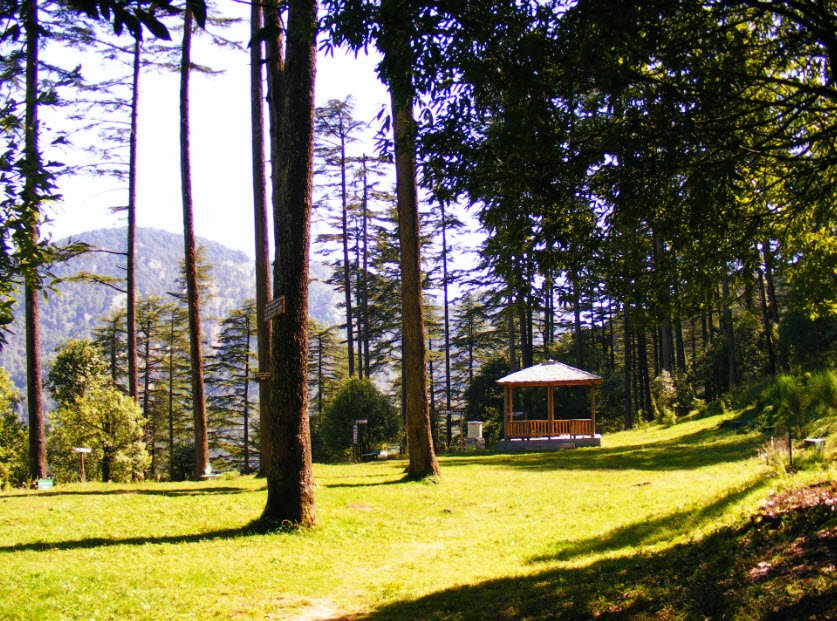 Dhanaulti