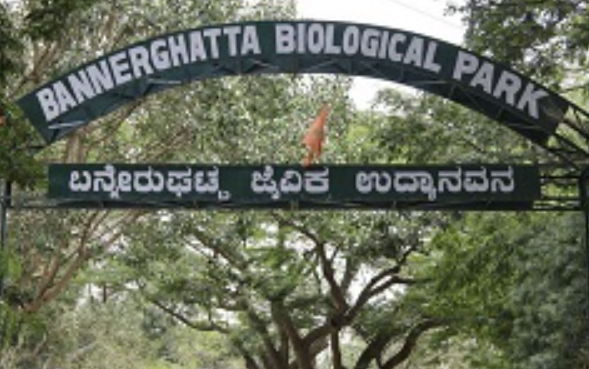 Bannerghatta Biological Park