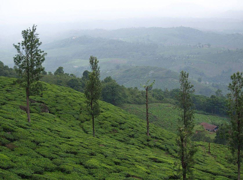 Meppadi