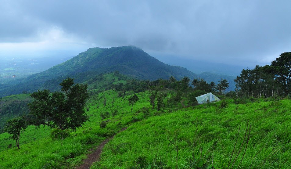 Kodikuthimala