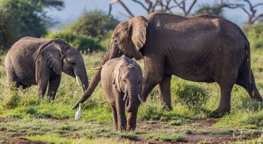 Nambor - Doigrung Wildlife Sanctuary
