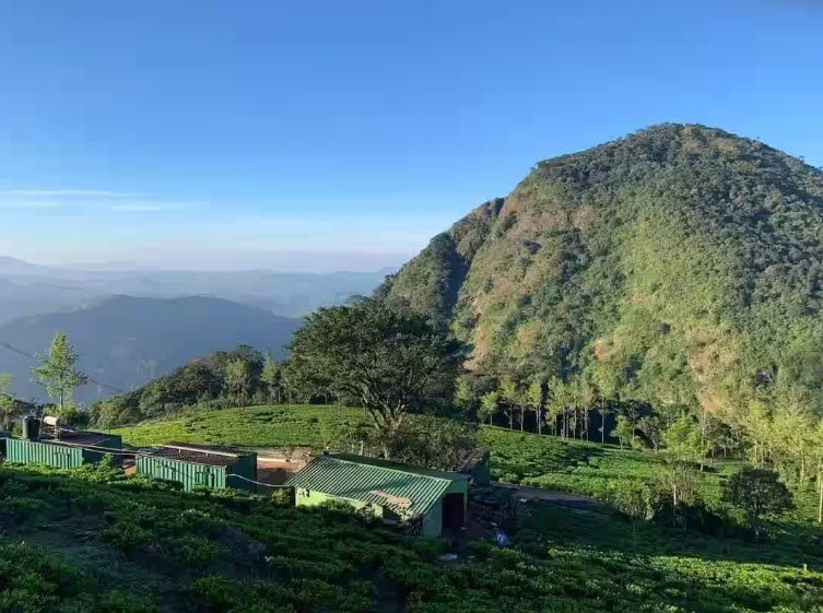 Navamalai