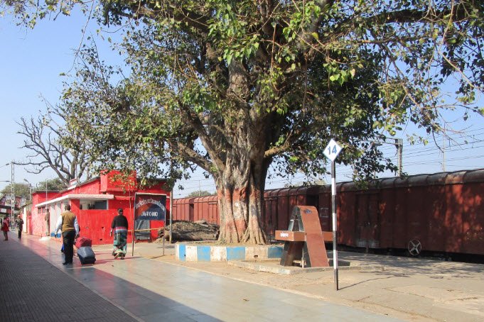 Koderma, Jharkhand - Vushii.com Koderma, Jharkhand - Vushii.com