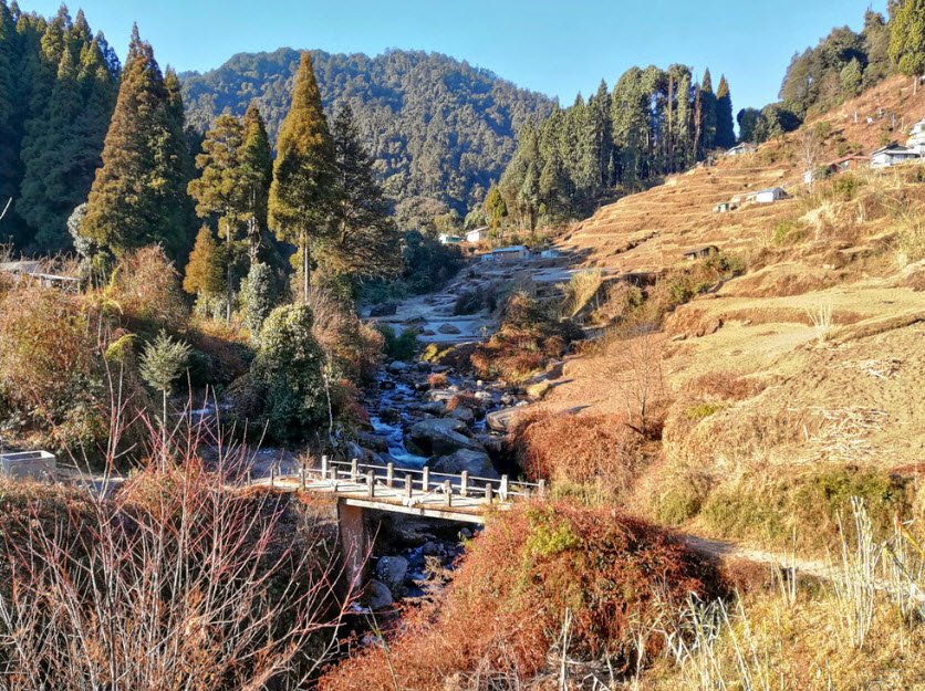 Rimbick, Darjeeling, West Bengal - Vushii.com Rimbick, Darjeeling, West Bengal - Vushii.com