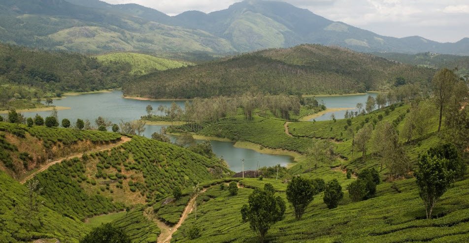Janglapalli, Tiruvallur, Tamil Nadu - Vushii.com Janglapalli, Tiruvallur, Tamil Nadu - Vushii.com