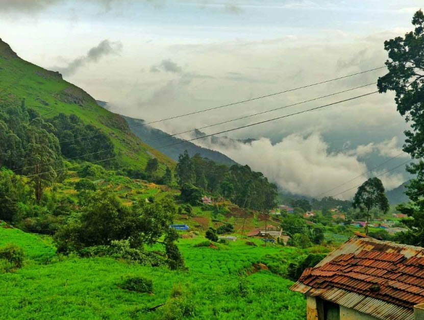 Huligal, Nilgiris, Tamil Nadu - Vushii.com Huligal, Nilgiris, Tamil Nadu - Vushii.com