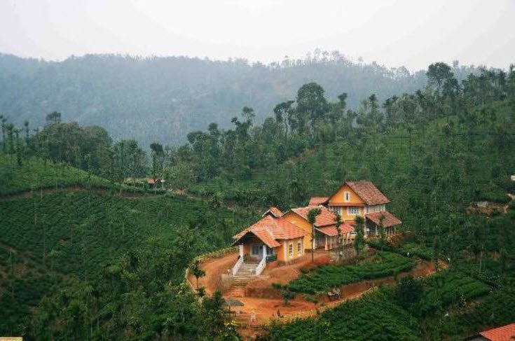Vaduvanchal, Wayanad, Kerala - Vushii.com Vaduvanchal, Wayanad, Kerala - Vushii.com
