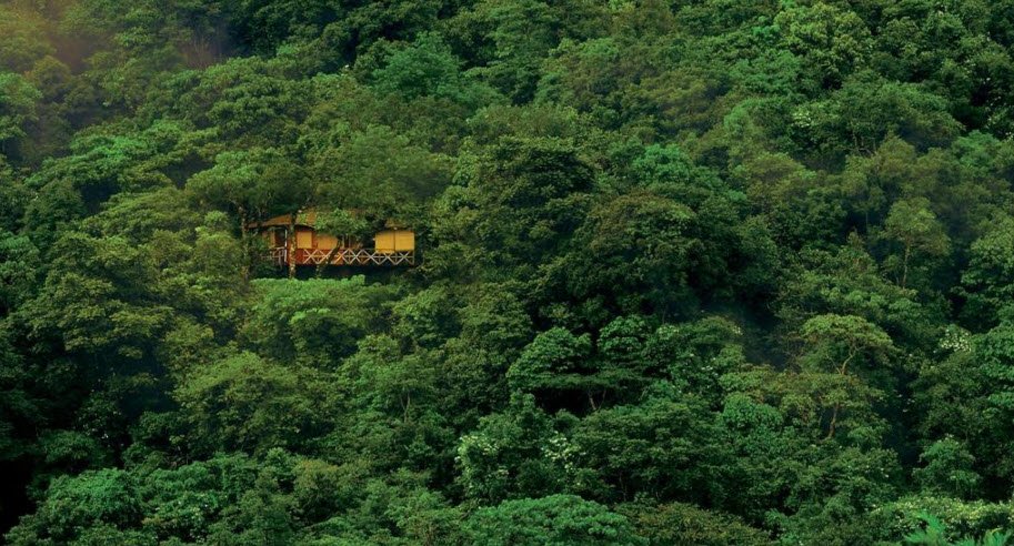 Vythiri, Wayanad, Kerala - Vushii.com Vythiri, Wayanad, Kerala - Vushii.com