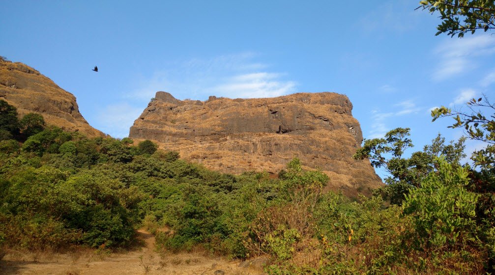 Ghangad, Pune, Maharashtra - Vushii.com Ghangad, Pune, Maharashtra - Vushii.com