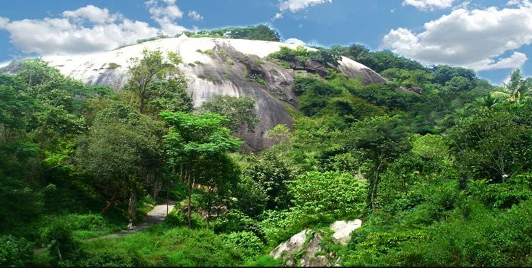 Charalkunnu, Pathanamthitta, Kerala - Vushii.com Charalkunnu, Pathanamthitta, Kerala - Vushii.com