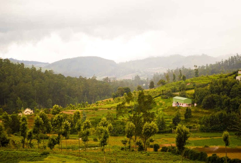 Thali, Krishnagiri, Tamil Nadu - Vushii.com Thali, Krishnagiri, Tamil Nadu - Vushii.com
