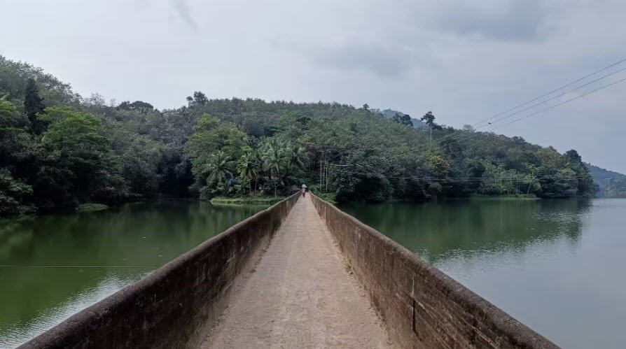 Amboori, Thiruvananthapuram, Kerala - Vushii.com