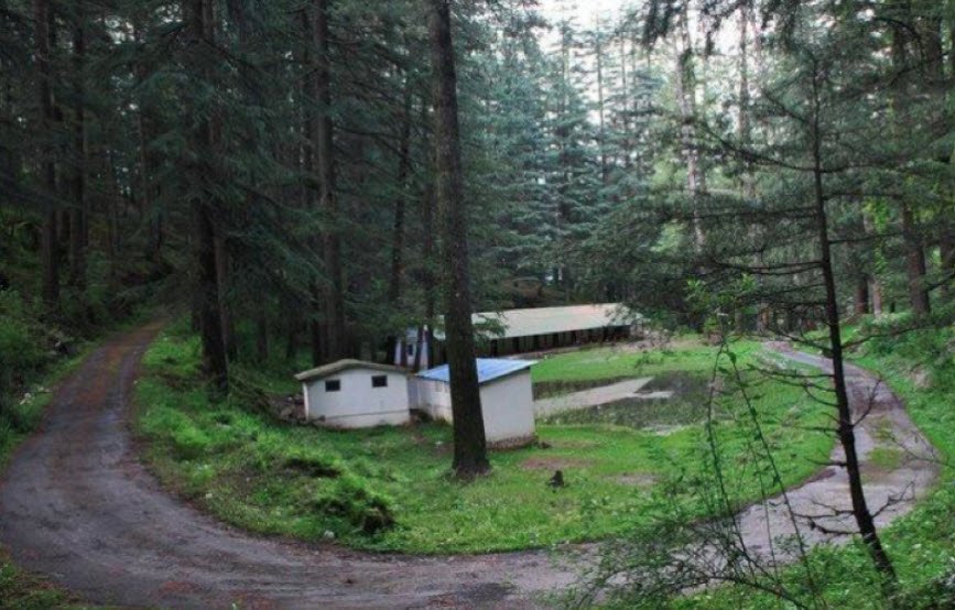 Deoban, Chamoli, Uttarakhand - Vushii.com