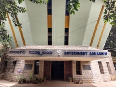 Government Aquarium, Bengaluru (Bangalore) Urban, Karnataka - Vushii.com Government Aquarium, Bengaluru (Bangalore) Urban, Karnataka - Vushii.com