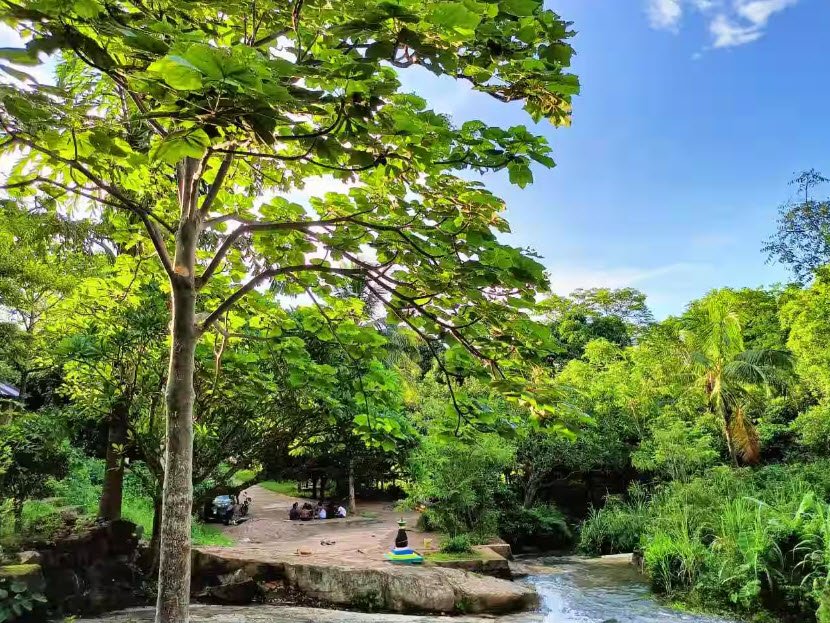 Banigocha, Nayagarh, Odisha - Vushii.com