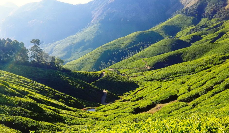 Cumbummettu, Theni, Tamil Nadu - Vushii.com Cumbummettu, Theni, Tamil Nadu - Vushii.com