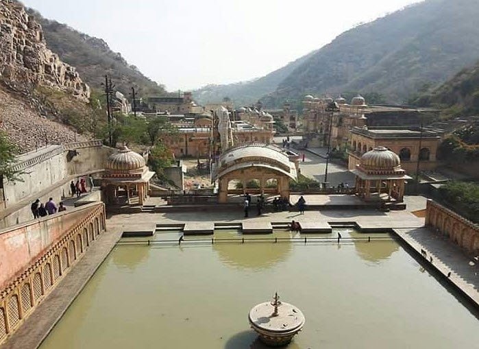 Elefriend, Jaipur, Rajasthan - Vushii.com