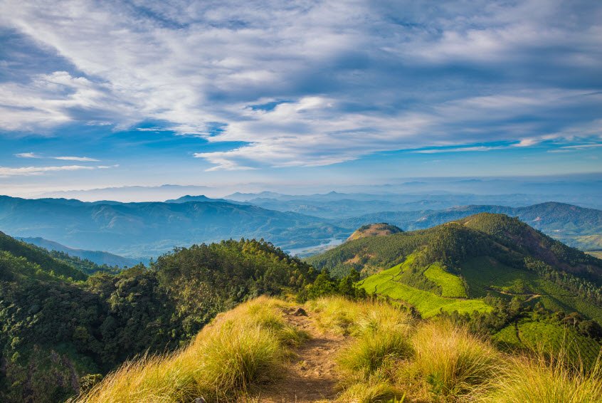 Kolukkumalai, Theni, Tamil Nadu - Vushii.com Kolukkumalai, Theni, Tamil Nadu - Vushii.com