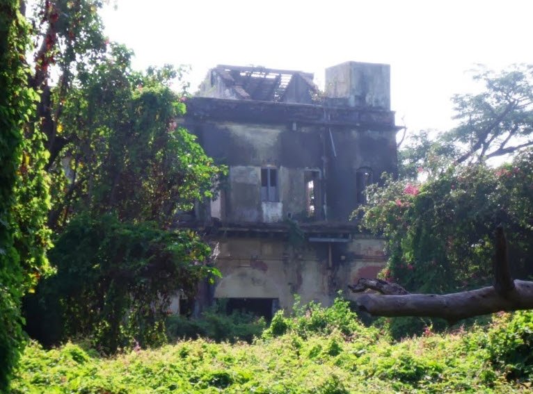 Reddiyur, Cuddalore, Tamil Nadu - Vushii.com Reddiyur, Cuddalore, Tamil Nadu - Vushii.com