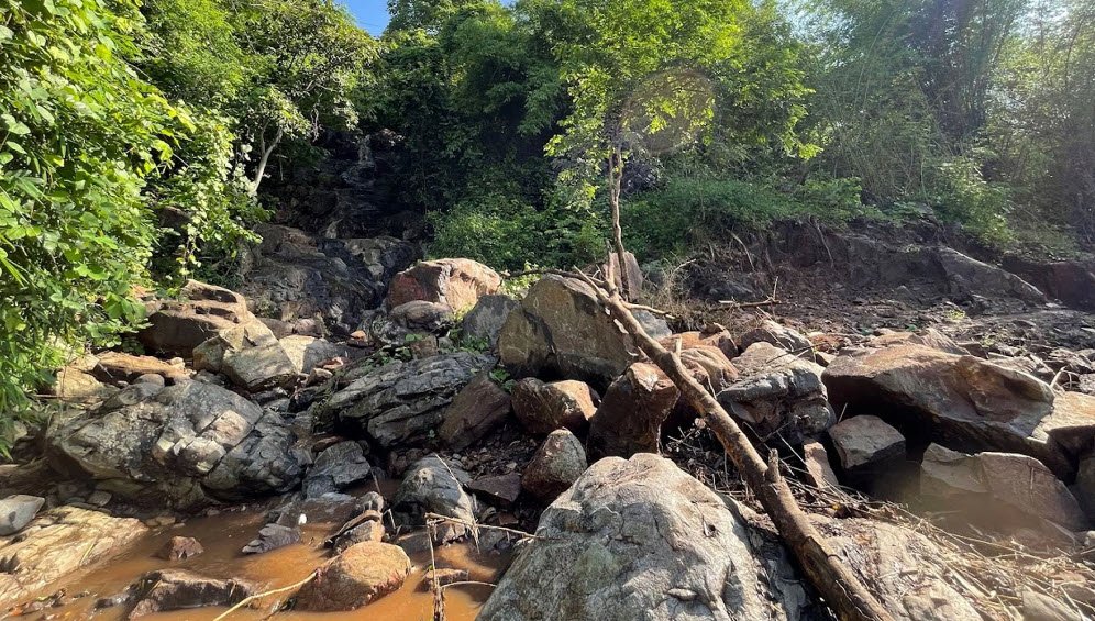 Labangi, Angul, Odisha - Vushii.com Labangi, Angul, Odisha - Vushii.com