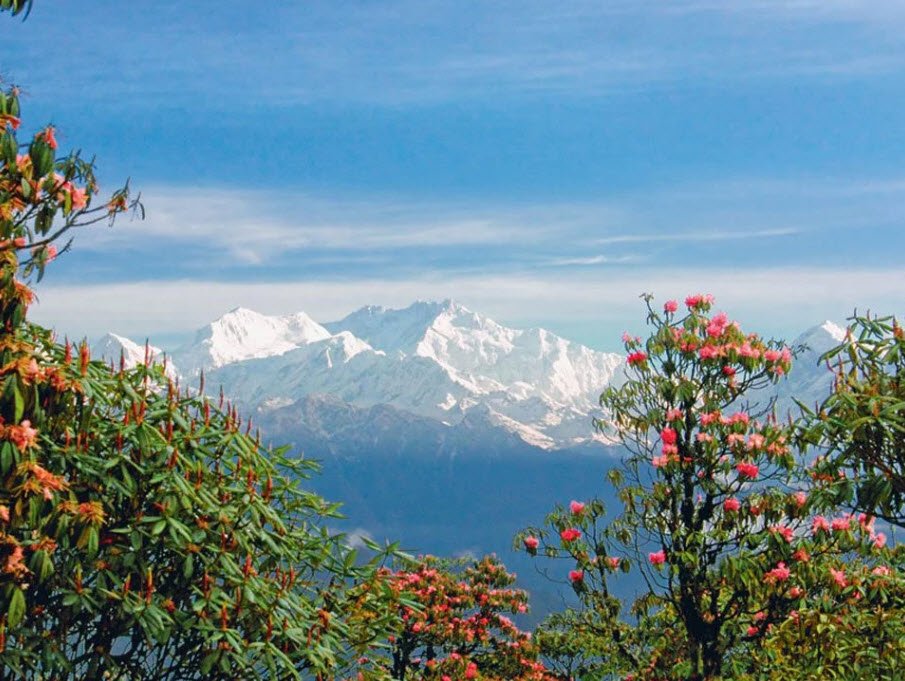Versey, West Sikkim, Sikkim - Vushii.com