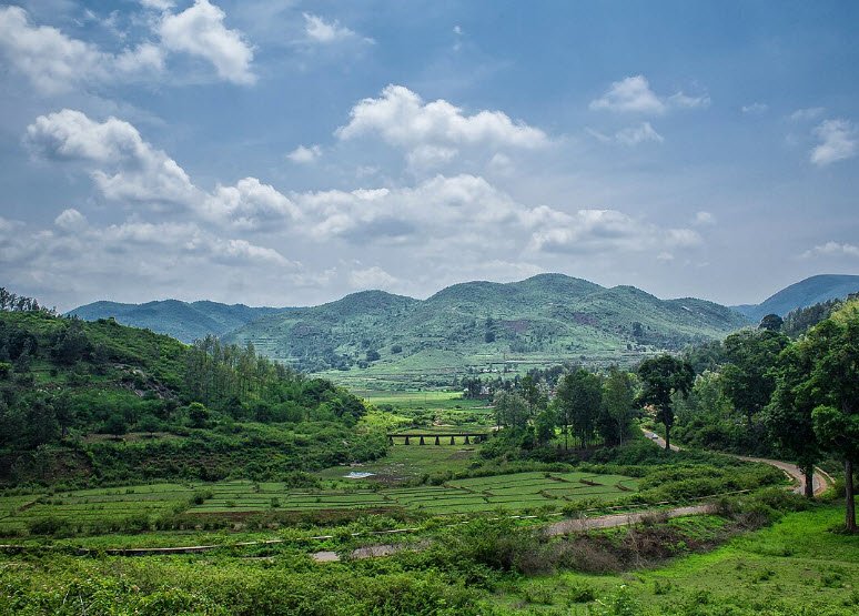 Bakuru, Visakhapatnam, Andhra Pradesh - Vushii.com Bakuru, Visakhapatnam, Andhra Pradesh - Vushii.com
