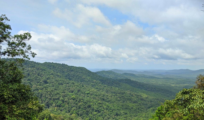 Devimane, Uttara Kannada (Karwar), Karnataka - Vushii.com