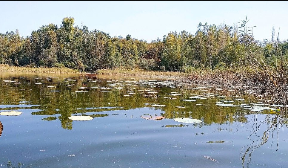 Khanpursar, Kathua, Jammu and Kashmir - Vushii.com