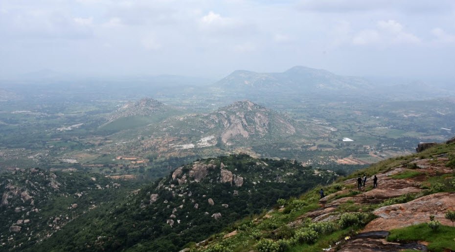 Gurtedu, East Godavari, Andhra Pradesh - Vushii.com