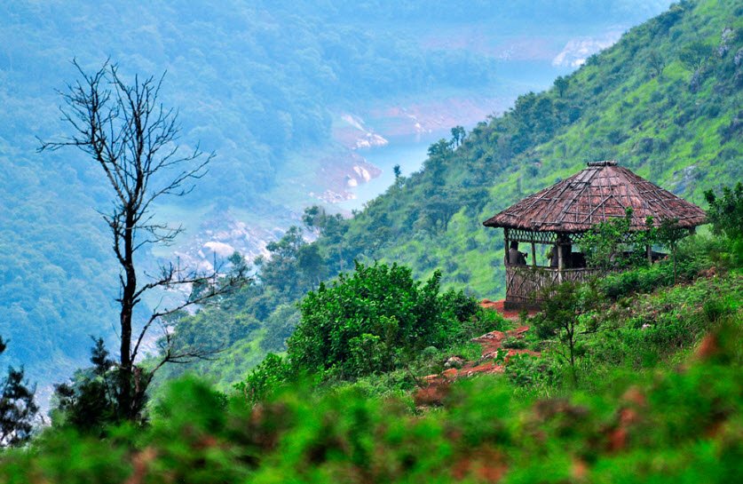 Kattappana, Idukki, Kerala - Vushii.com
