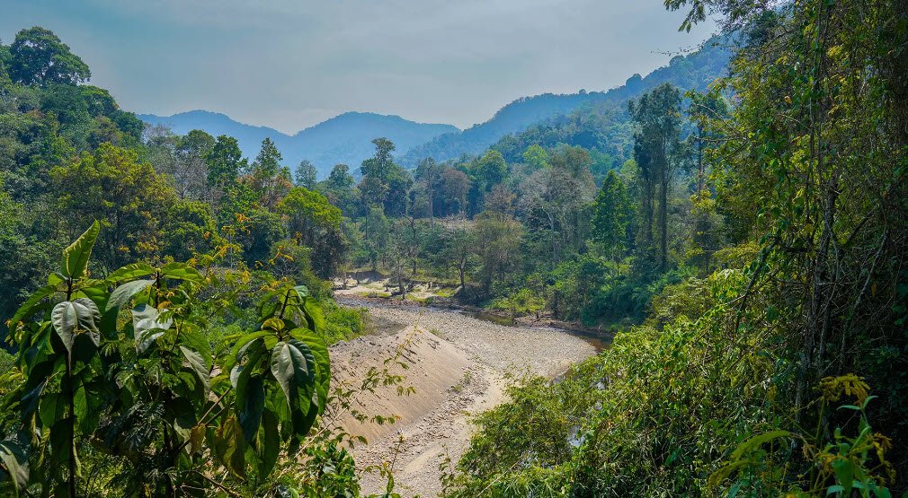 Ranni, Pathanamthitta, Kerala - Vushii.com Ranni, Pathanamthitta, Kerala - Vushii.com