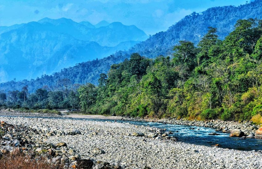 Turturi, Jalpaiguri, West Bengal - Vushii.com Turturi, Jalpaiguri, West Bengal - Vushii.com