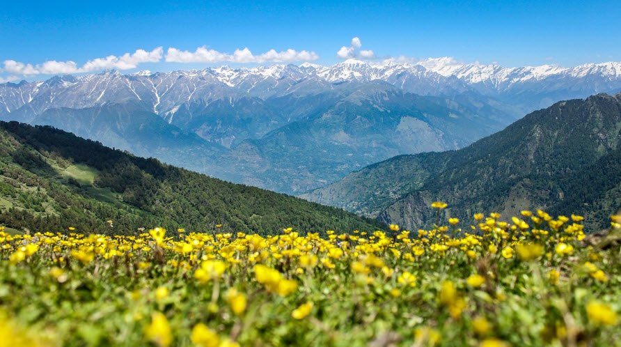 Kullu, Kullu, Himachal Pradesh - Vushii.com