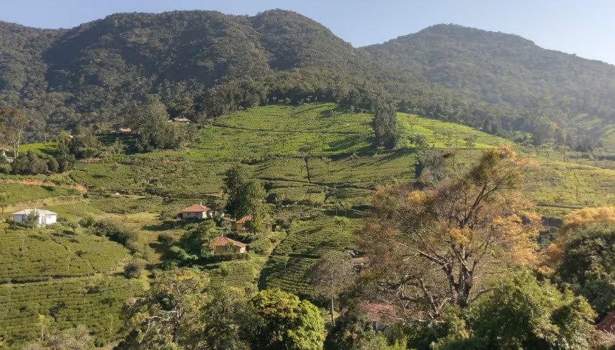 Kinnakorai, Nilgiris, Tamil Nadu - Vushii.com Kinnakorai, Nilgiris, Tamil Nadu - Vushii.com