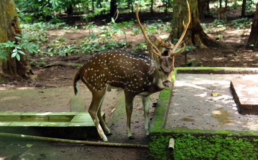 Vazhichal, Thiruvananthapuram, Kerala - Vushii.com Vazhichal, Thiruvananthapuram, Kerala - Vushii.com