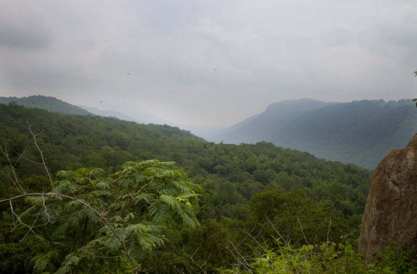 Melagiri, Dharmapuri, Tamil Nadu - Vushii.com Melagiri, Dharmapuri, Tamil Nadu - Vushii.com